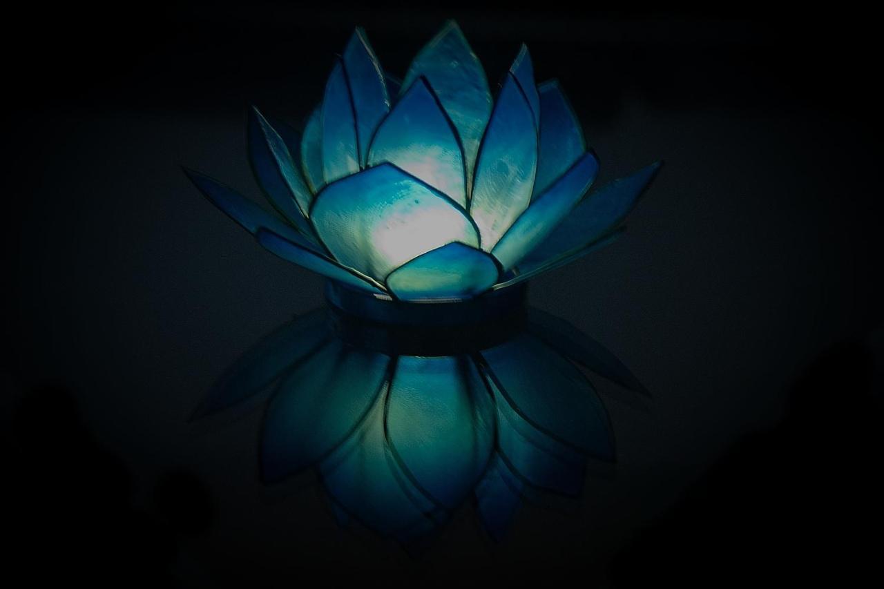 Blue Lotus Appartement *